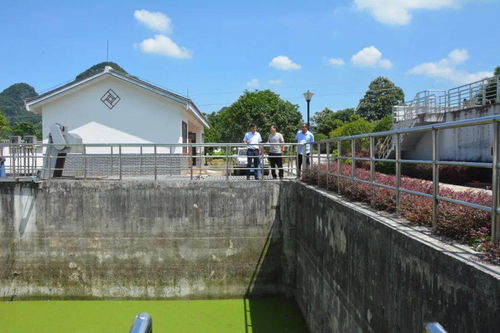 縣城市管理監督局深入葡萄鎮污水處理廠開展調研工作，聚焦智慧管理與綠色發展